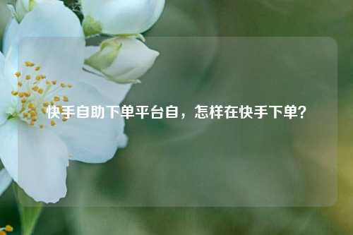 快手自助下单平台自，怎样在快手下单？