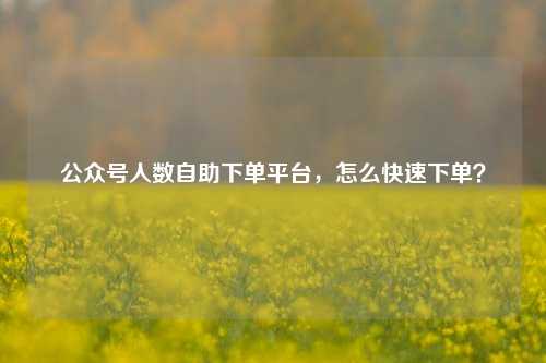 公众号人数自助下单平台，怎么快速下单？