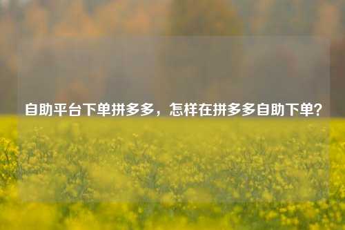 自助平台下单拼多多，怎样在拼多多自助下单？