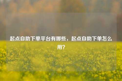 起点自助下单平台有哪些，起点自助下单怎么用？