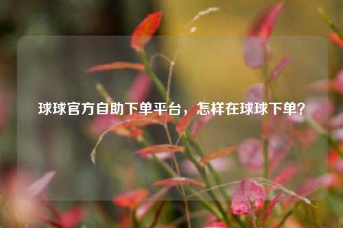 球球官方自助下单平台，怎样在球球下单？