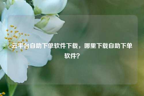 云平台自助下单软件下载，哪里下载自助下单软件？