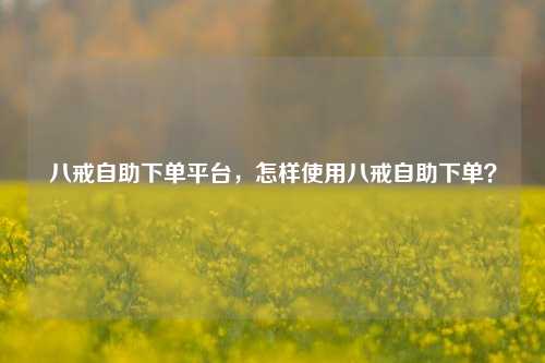 八戒自助下单平台，怎样使用八戒自助下单？