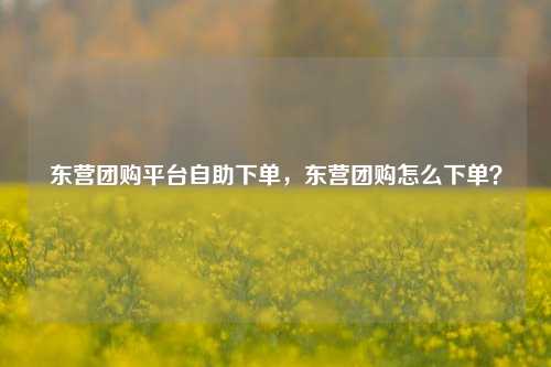 东营团购平台自助下单，东营团购怎么下单？