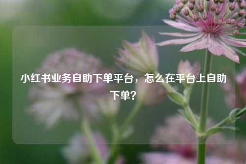 小红书业务自助下单平台，怎么在平台上自助下单？