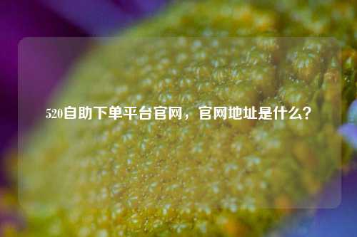 520自助下单平台官网，官网地址是什么？