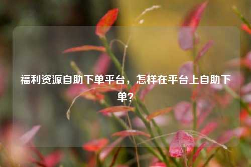 福利资源自助下单平台，怎样在平台上自助下单？