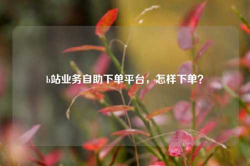 b站业务自助下单平台，怎样下单？