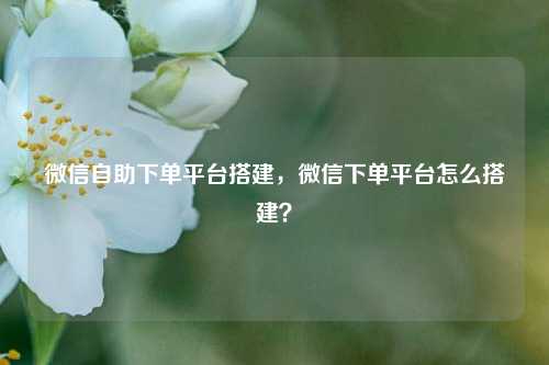 微信自助下单平台搭建，微信下单平台怎么搭建？