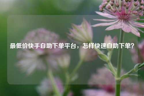 最低价快手自助下单平台，怎样快速自助下单？