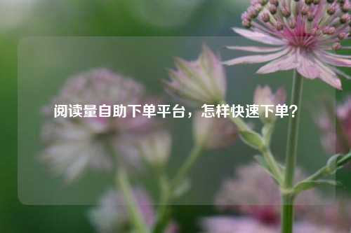阅读量自助下单平台，怎样快速下单？