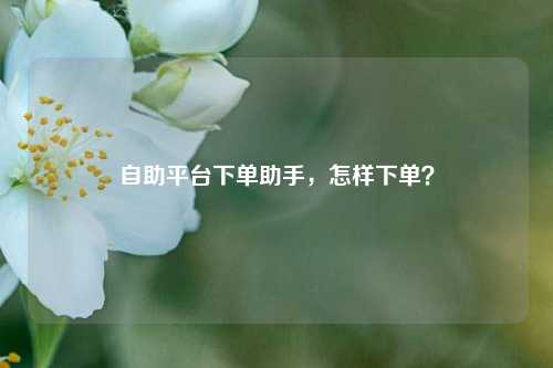 自助平台下单助手，怎样下单？