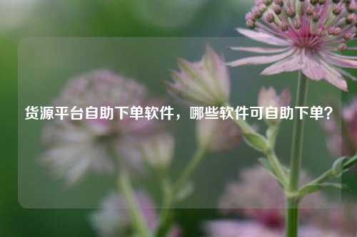 货源平台自助下单软件，哪些软件可自助下单？