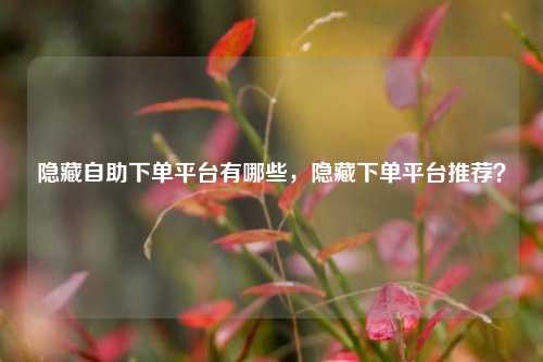 隐藏自助下单平台有哪些，隐藏下单平台推荐？