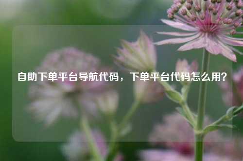 自助下单平台导航代码，下单平台代码怎么用？