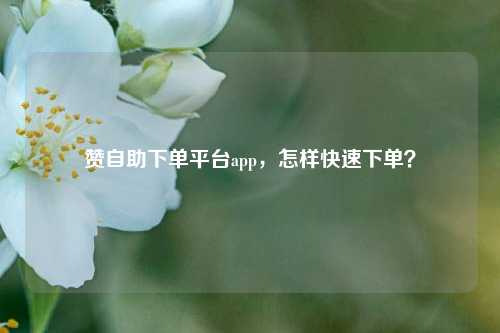 赞自助下单平台app，怎样快速下单？